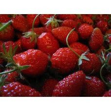 Fraises